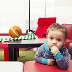 Ibis Centre מלון קובנה