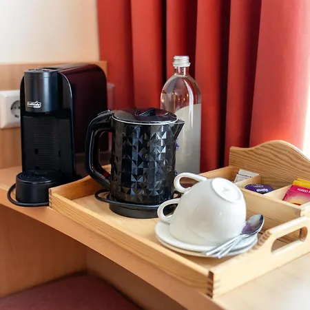 Ibis Centre Hotel Kowno