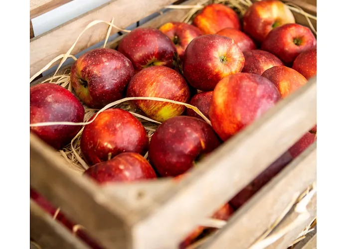 Ibis Centre Hotel 3*