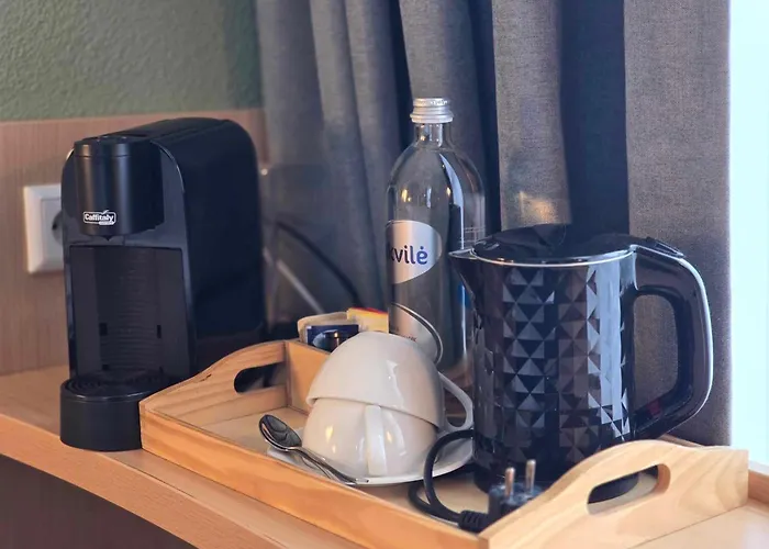 Ibis Centre 호텔 3*