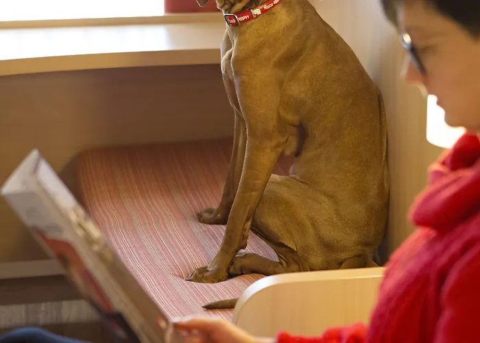 Hotel Ibis Centre Kaunas